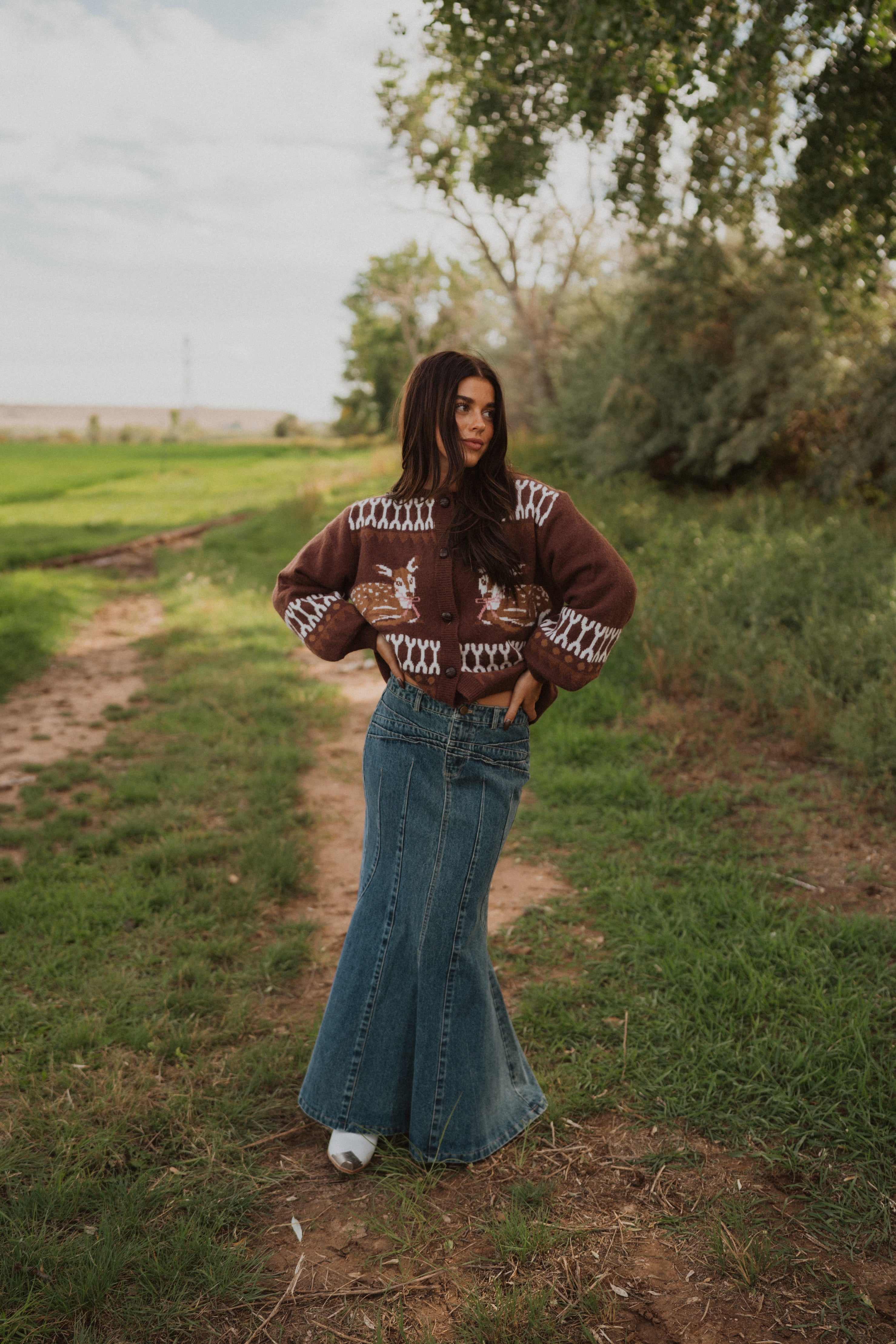 Regina Denim Skirt – Goldie Lew Jewelry