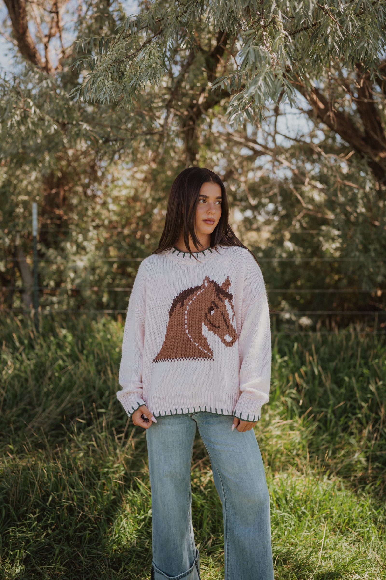 Little Pony Sweater