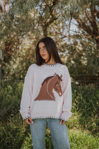 Little Pony Sweater