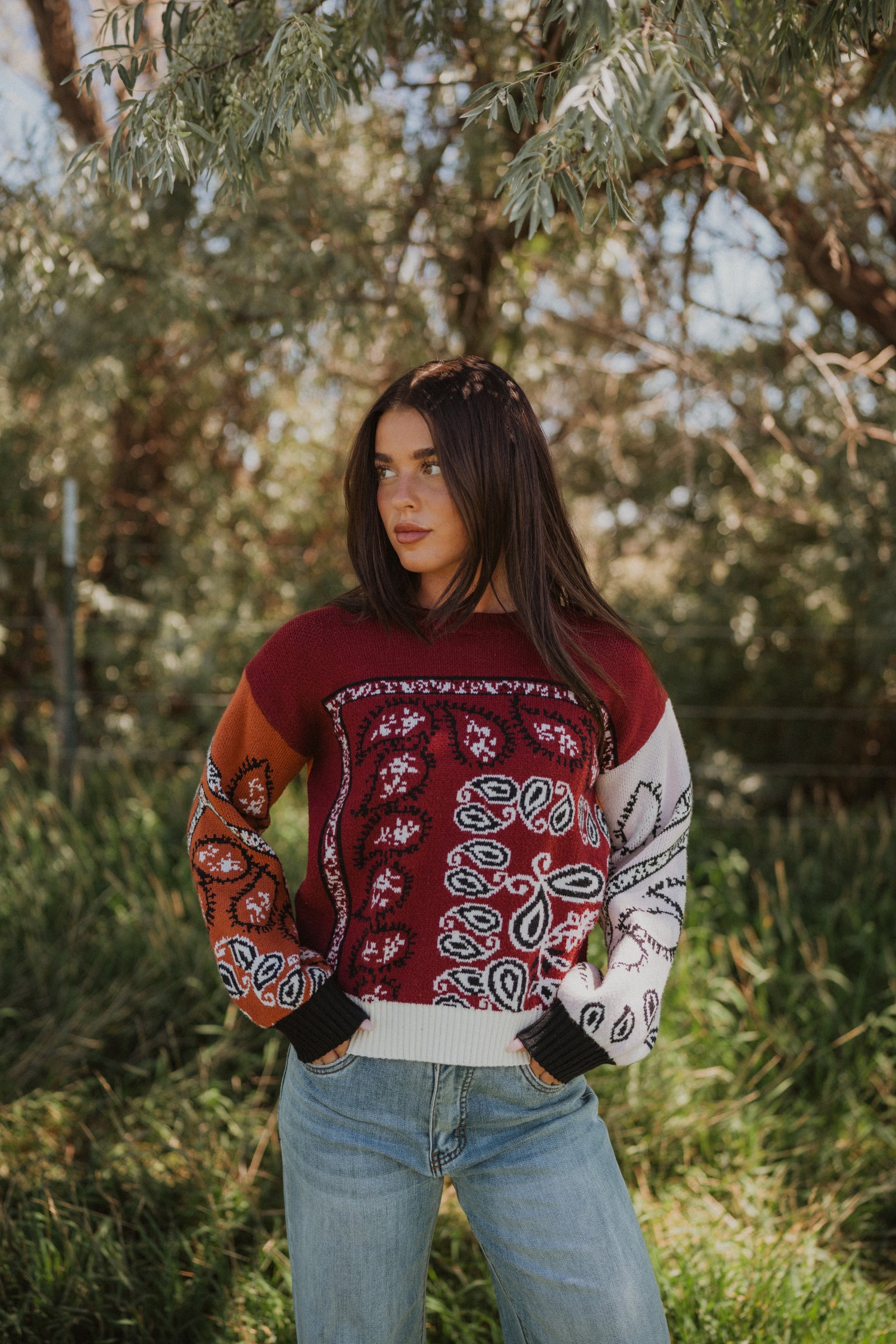 Crazy Paisley Sweater