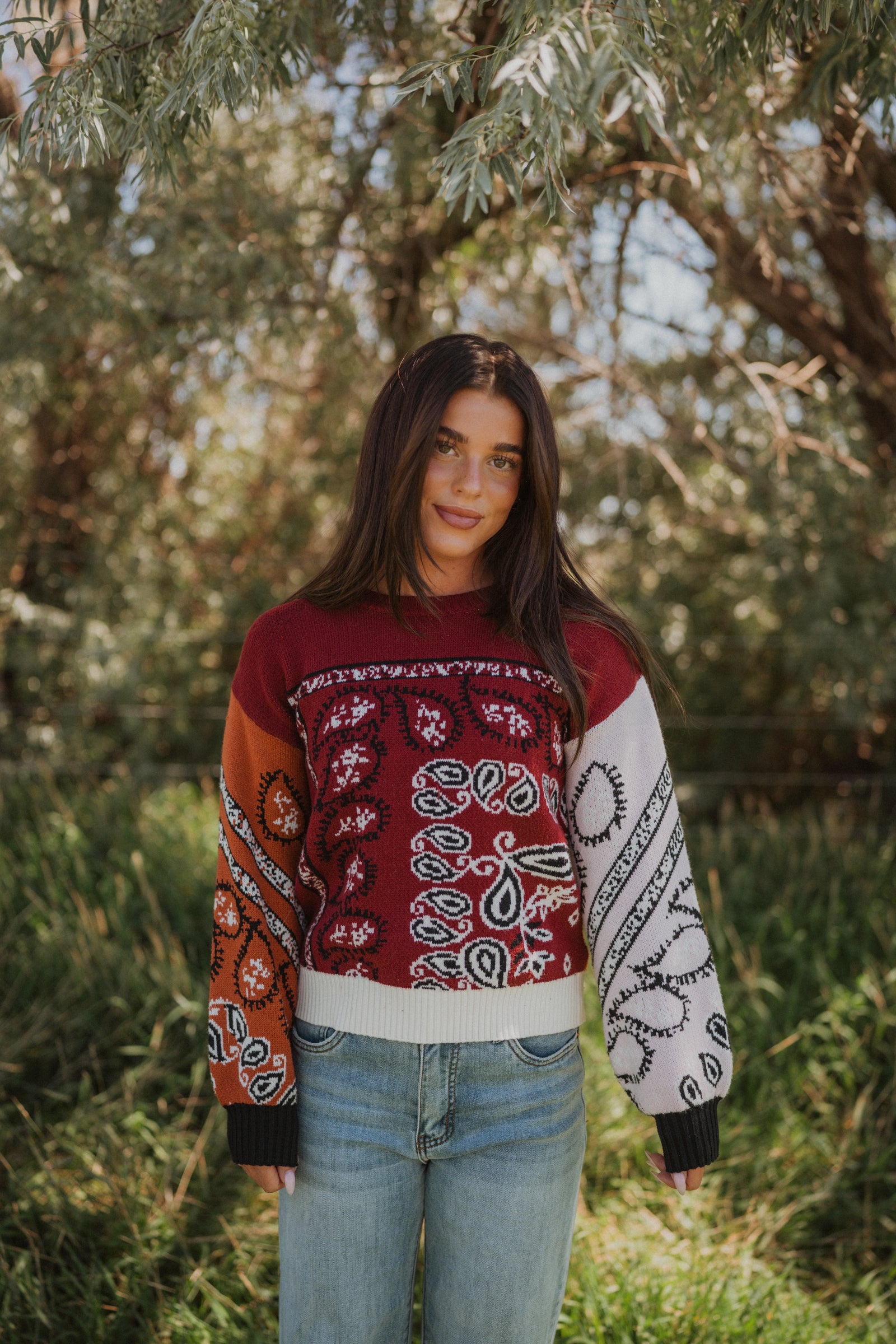 Crazy Paisley Sweater