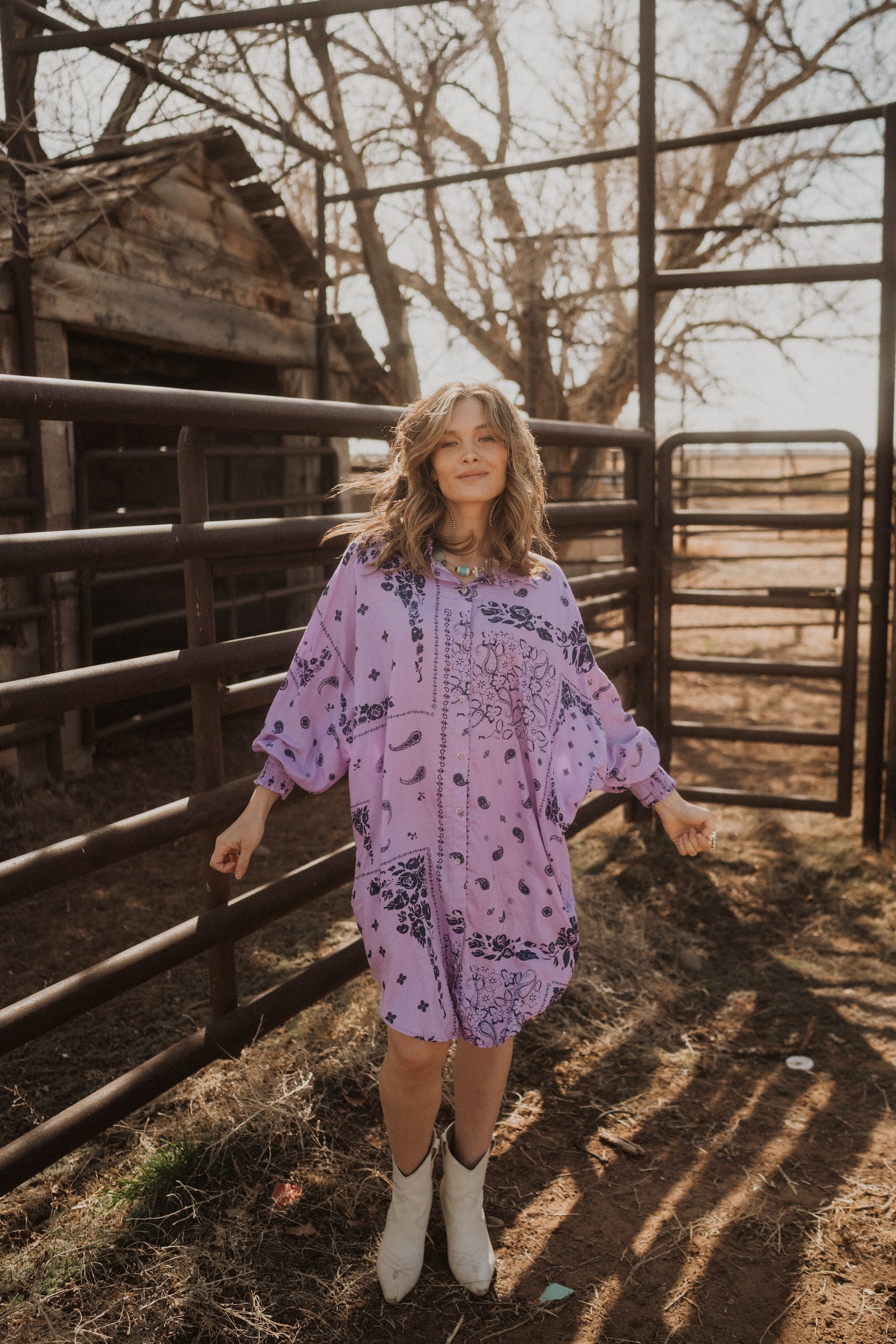 Purple Paisleys Dress