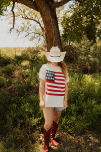 Short Sleeve American Flag Sweater