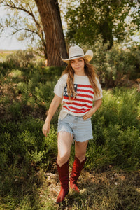 Short Sleeve American Flag Sweater