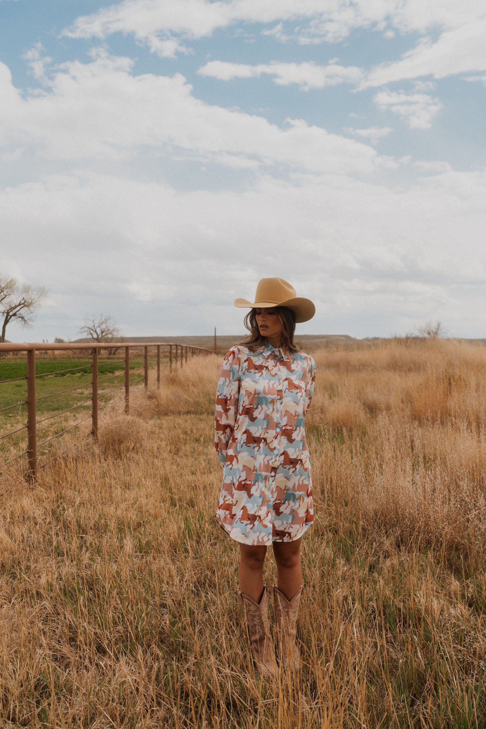 Call Me A Cowgirl Dress