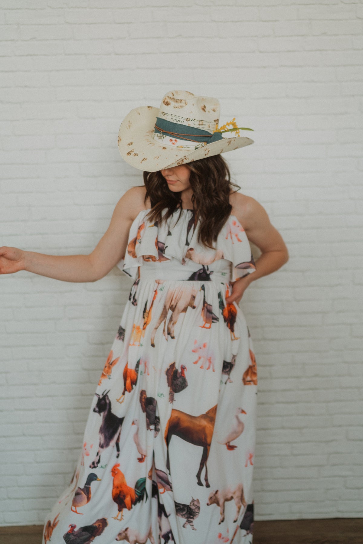 Farm Animal Dress