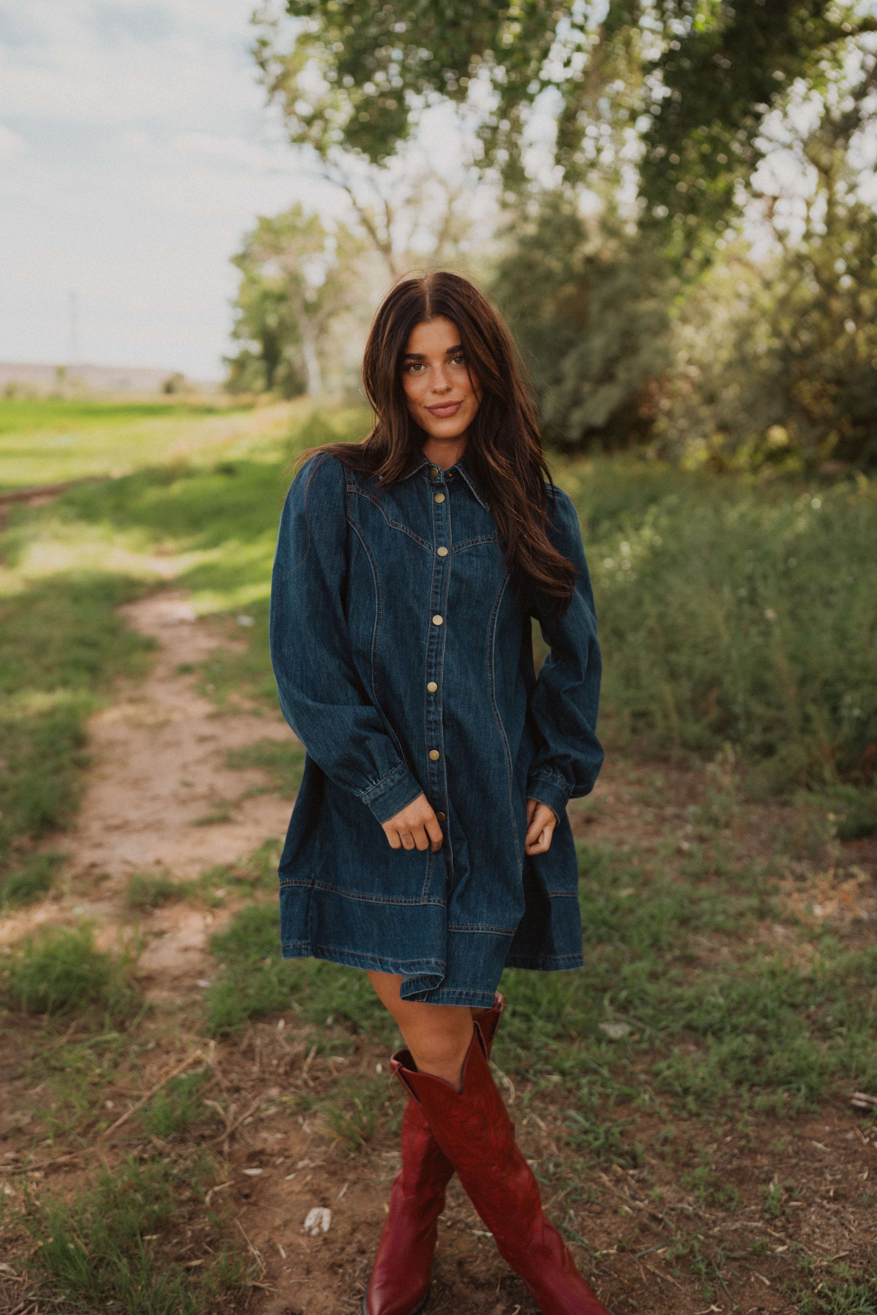 Rohana Denim Dress – Goldie Lew Jewelry