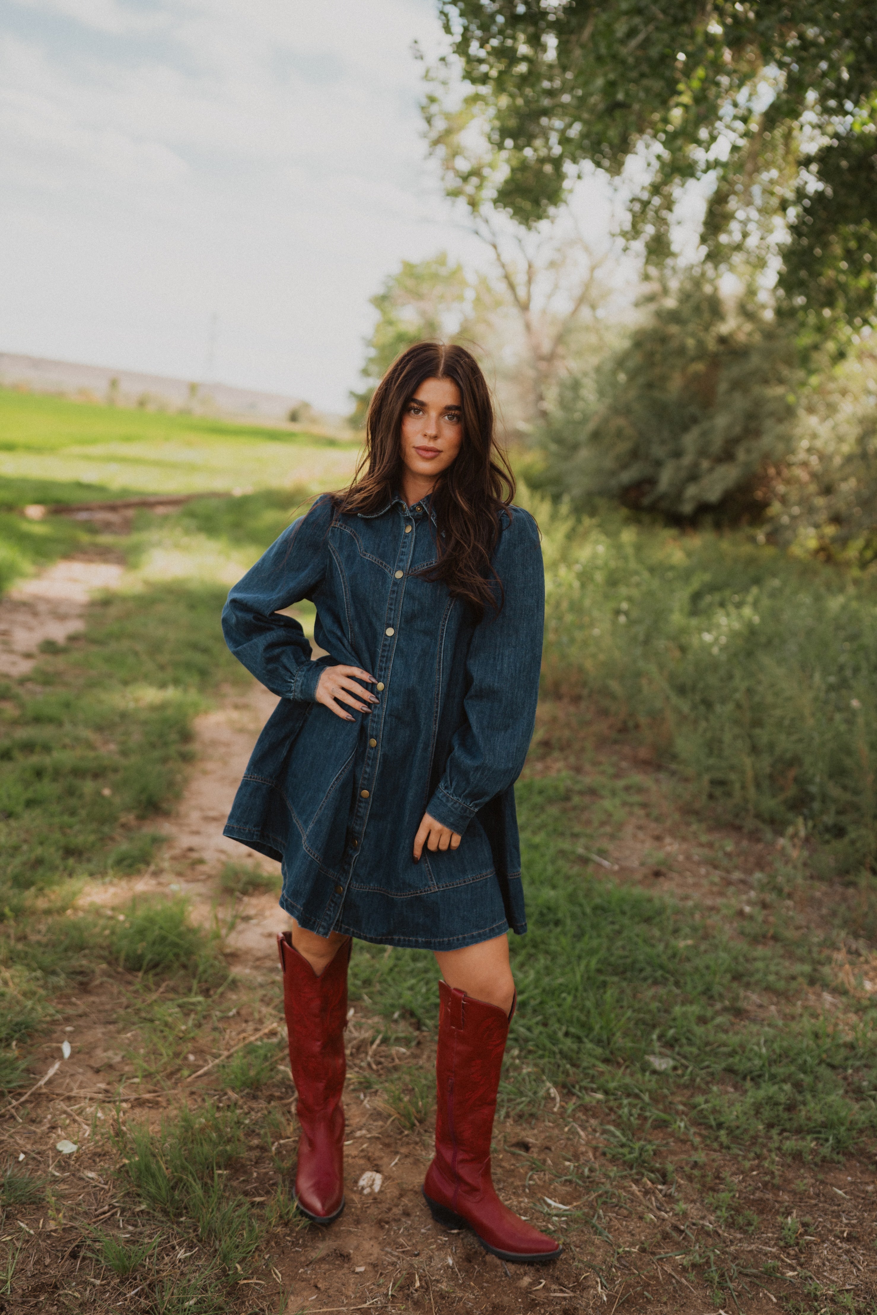Rohana Denim Dress – Goldie Lew Jewelry