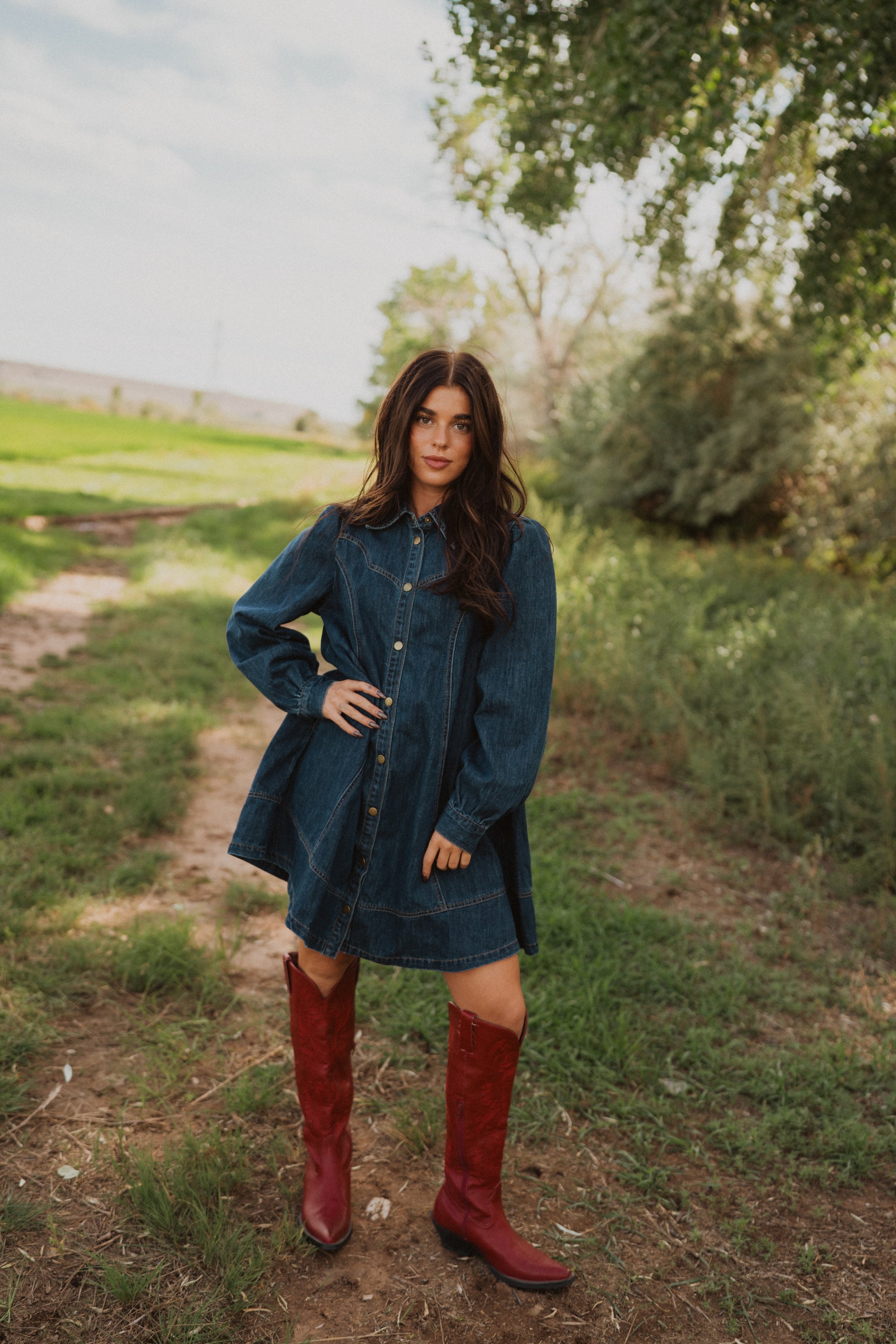 Rohana Denim Dress Goldie Lew Jewelry Rohana Denim Dress Goldie Lew Jewelry