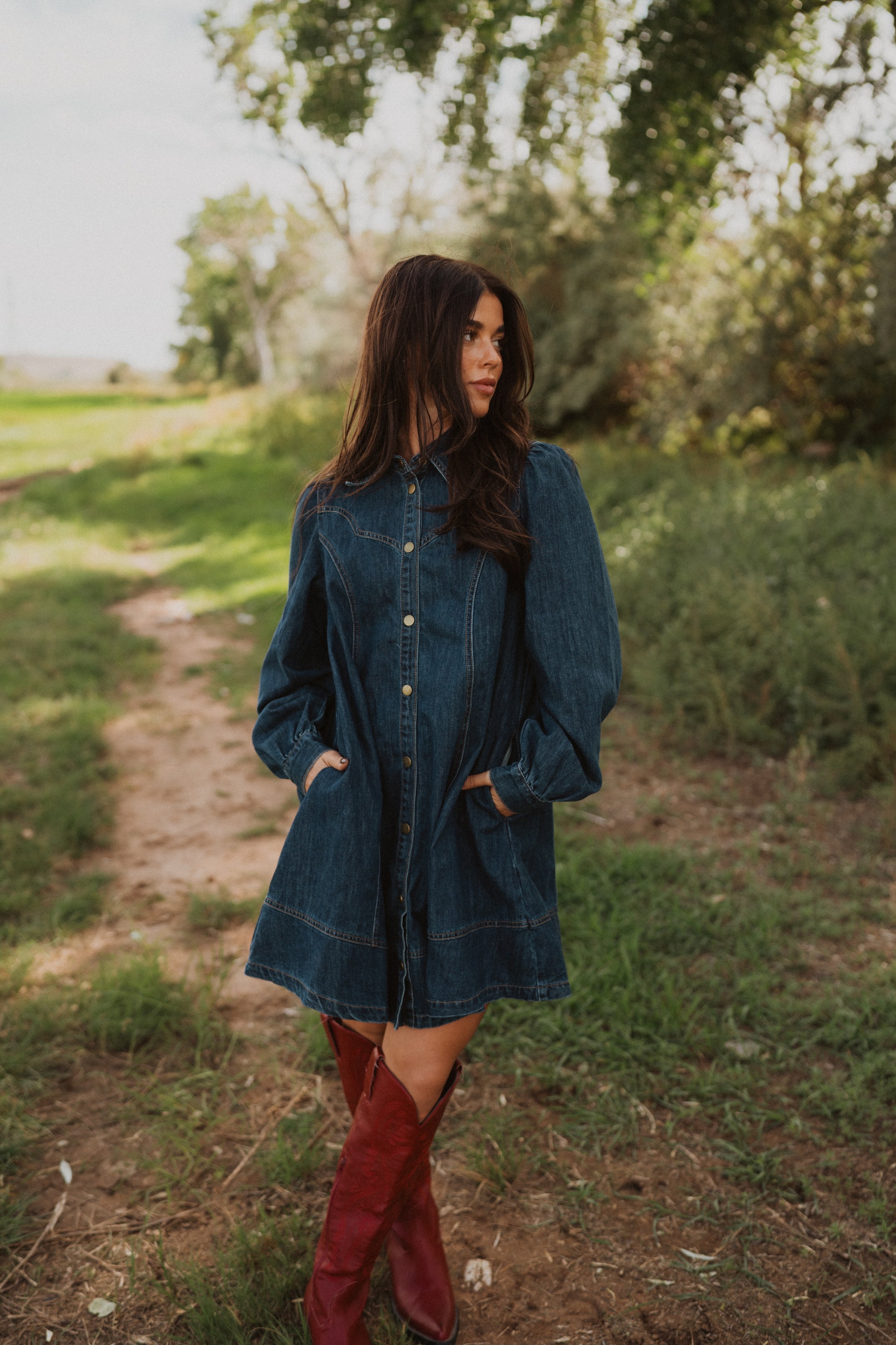 Rohana Denim Dress – Goldie Lew Jewelry