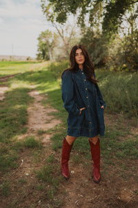 Rohana Denim Dress