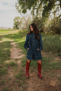 Rohana Denim Dress