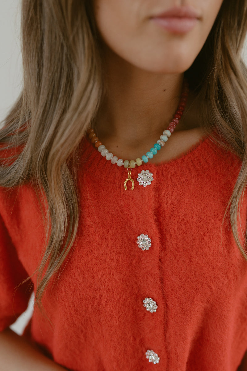 Colorful Horseshoe Necklace