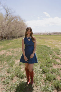 Bellarose Denim Dress