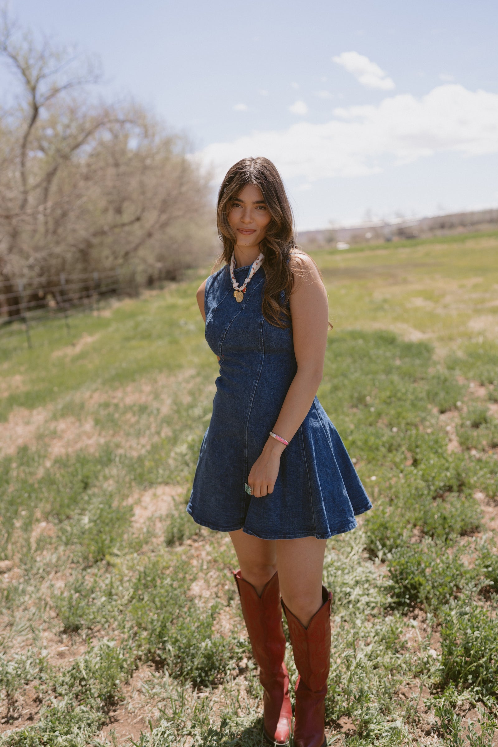Bellarose Denim Dress