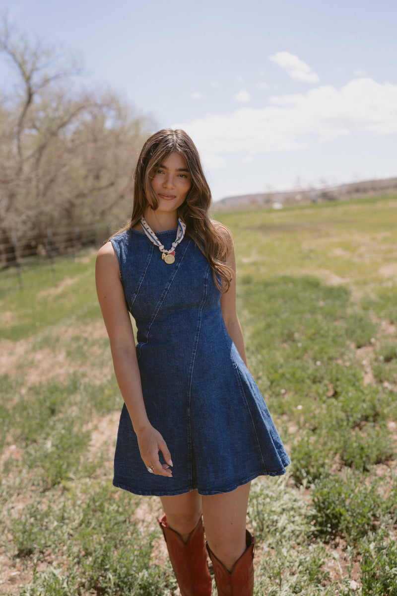 Bellarose Denim Dress