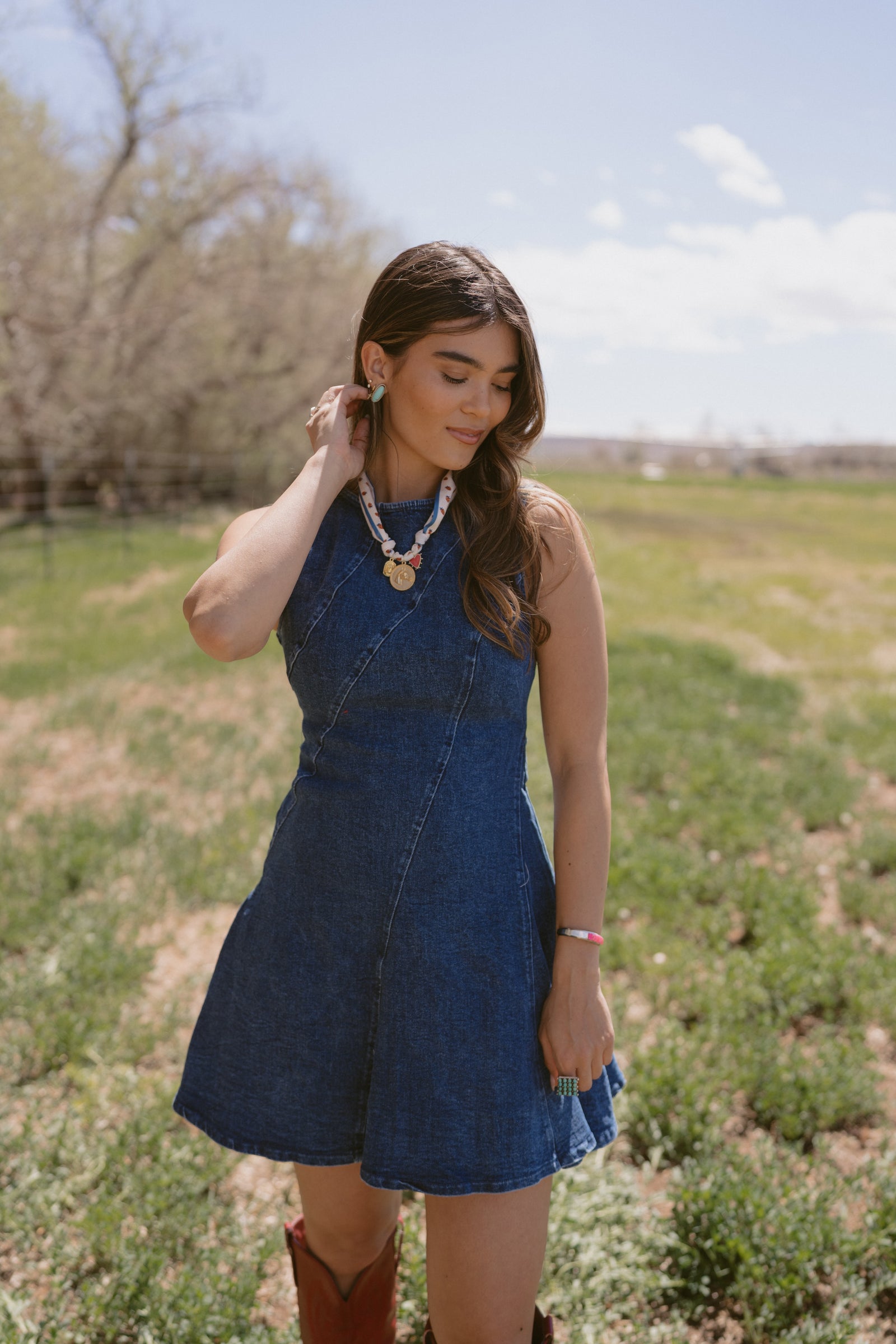 Bellarose Denim Dress