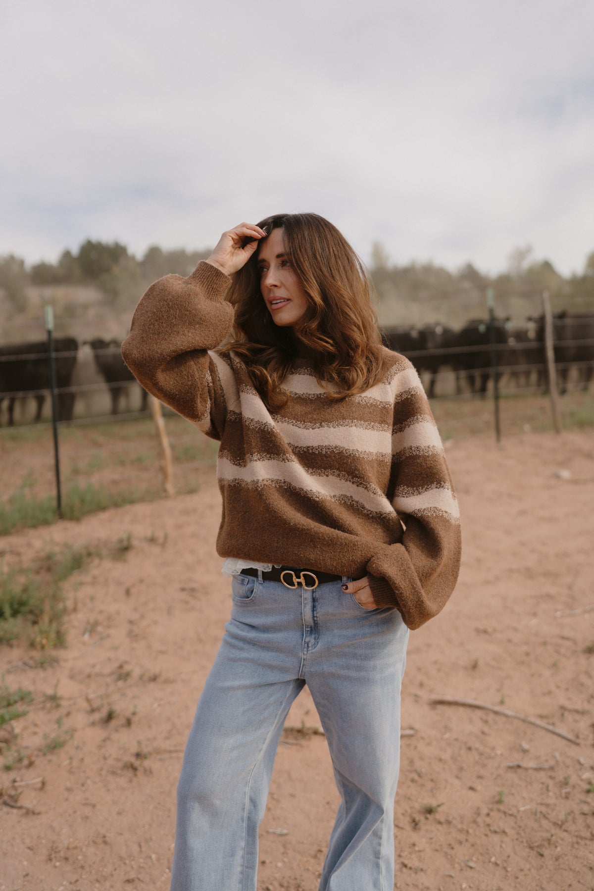 Brownie Sweater