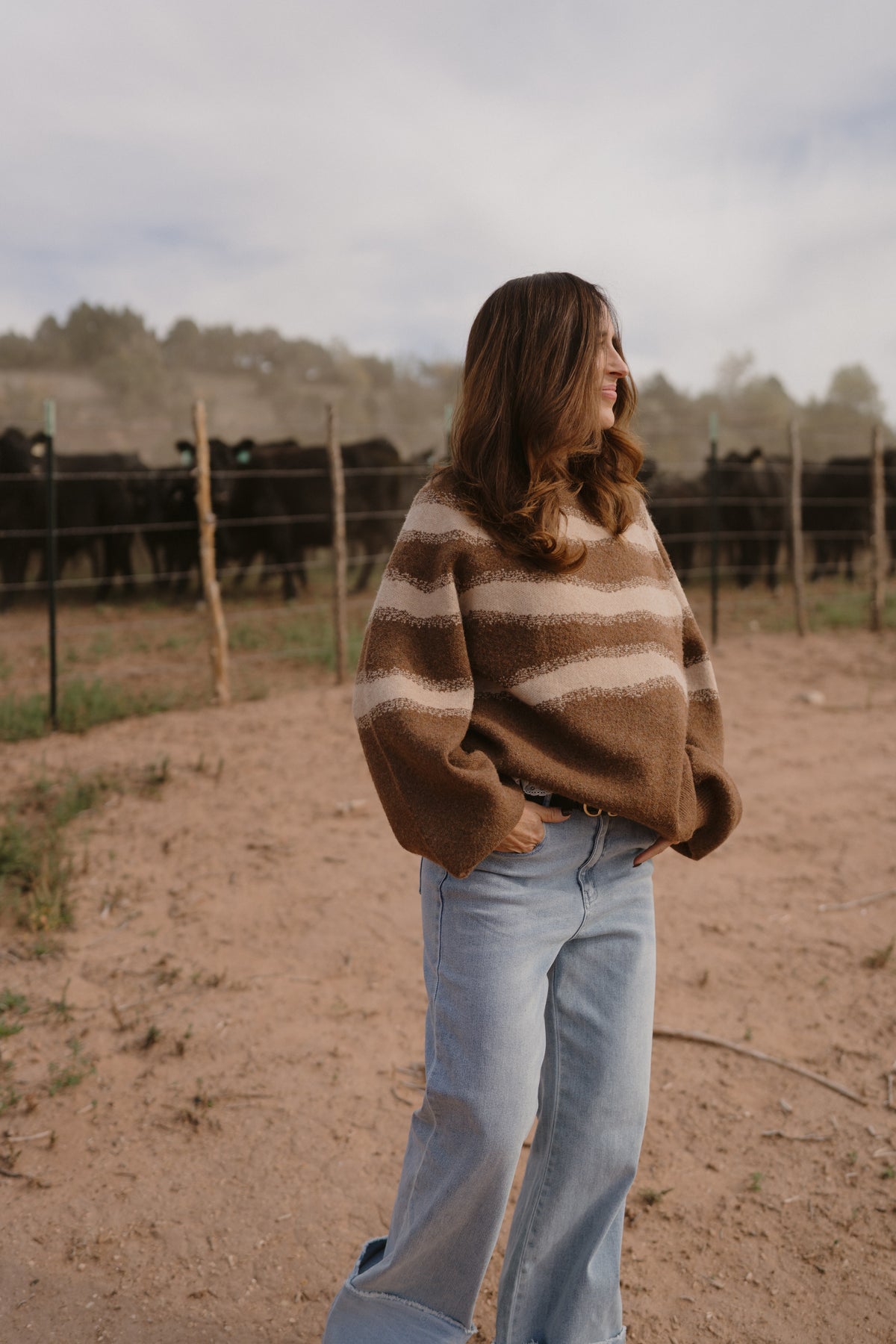 Brownie Sweater