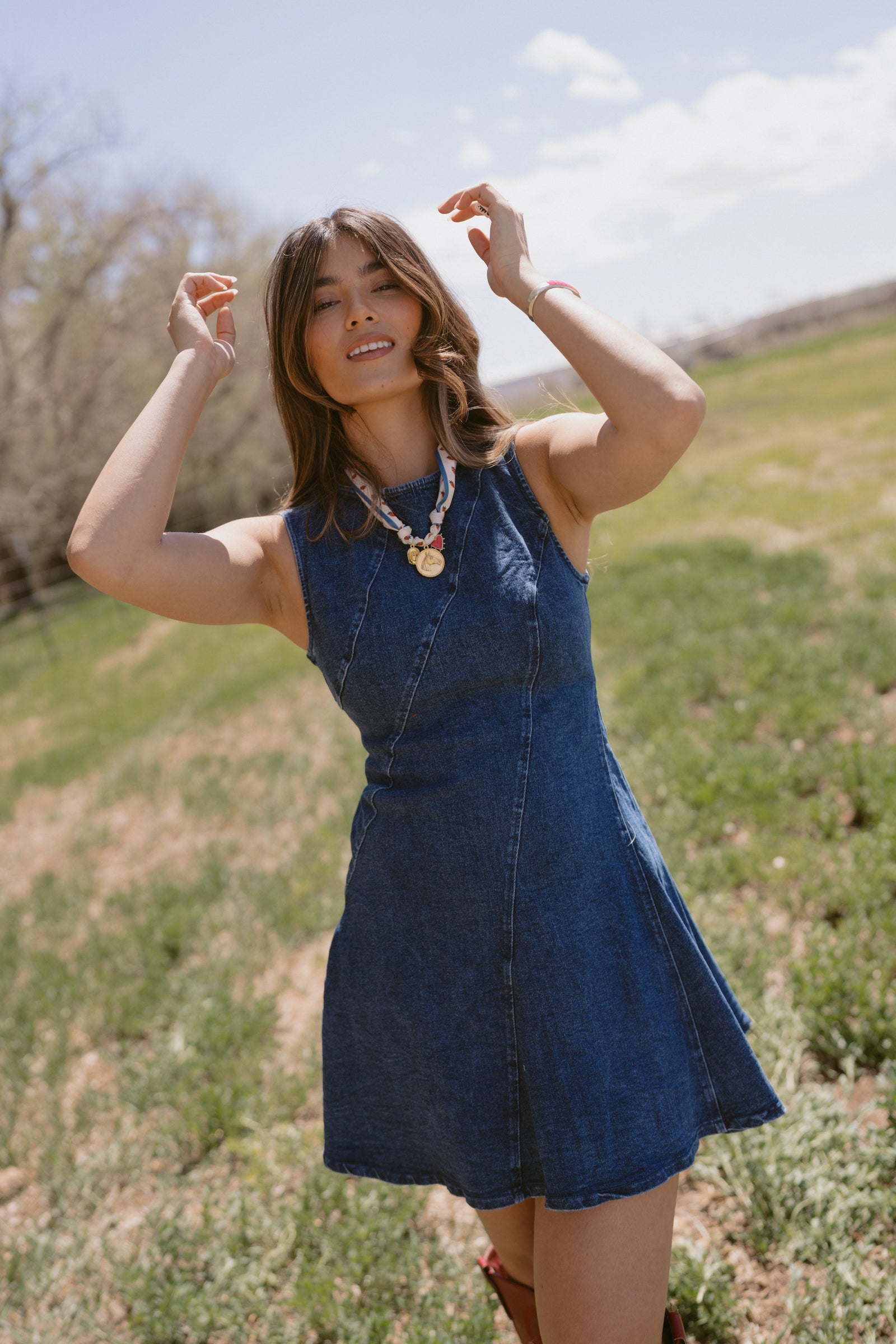 Bellarose Denim Dress