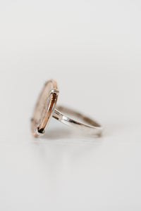 Horse Coin Ring | #2