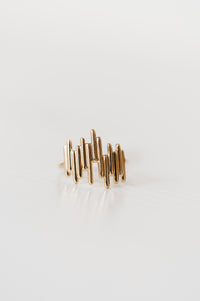 Gardner Ring