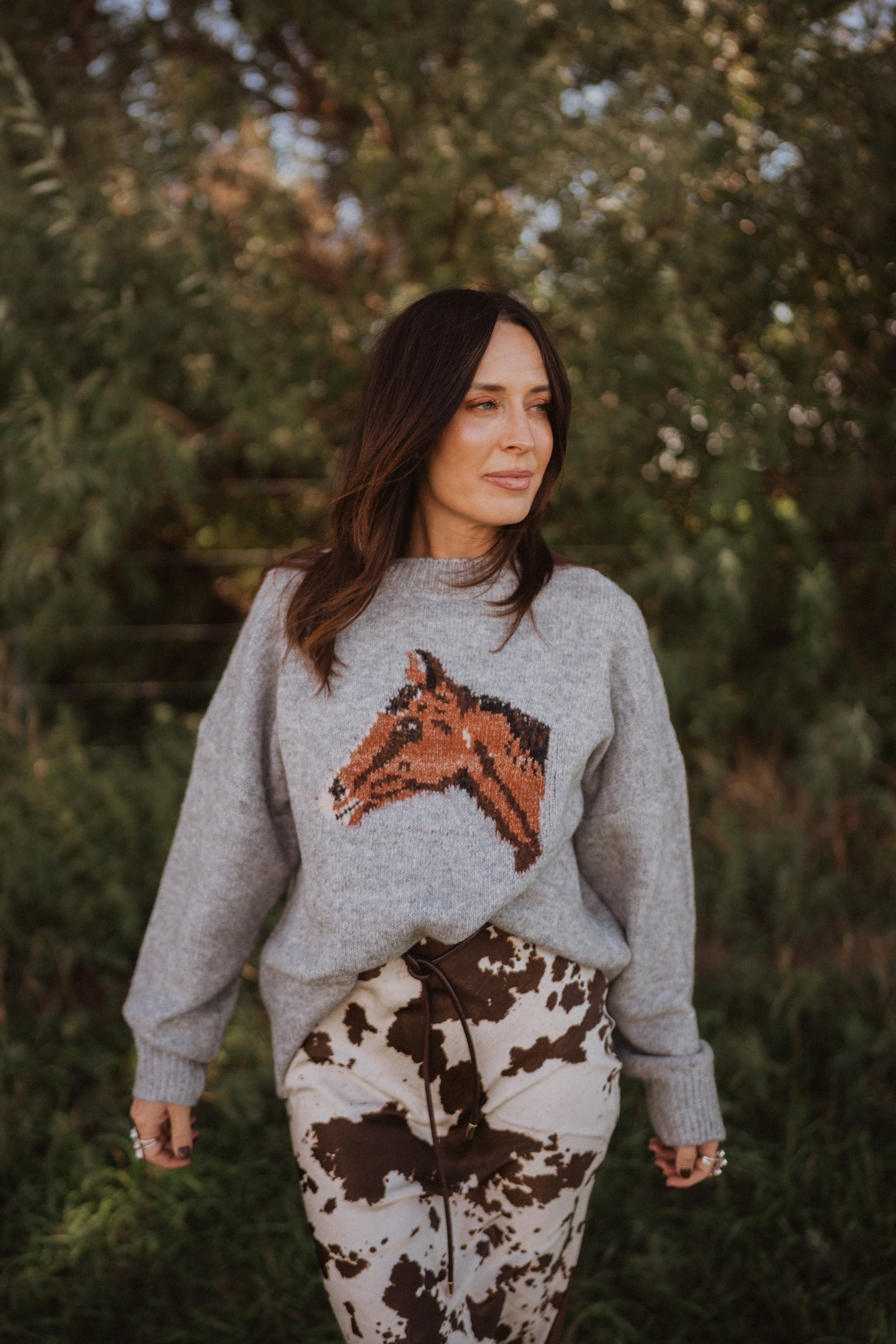 Hold Your Horses Sweater