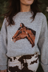 Hold Your Horses Sweater