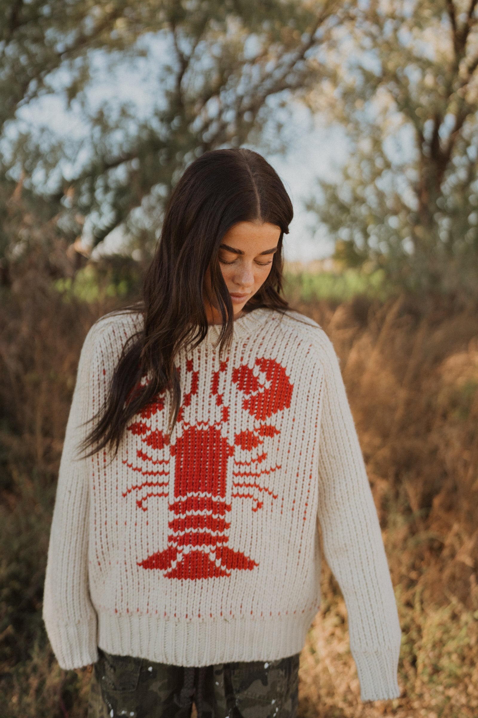 Lobster Sweater