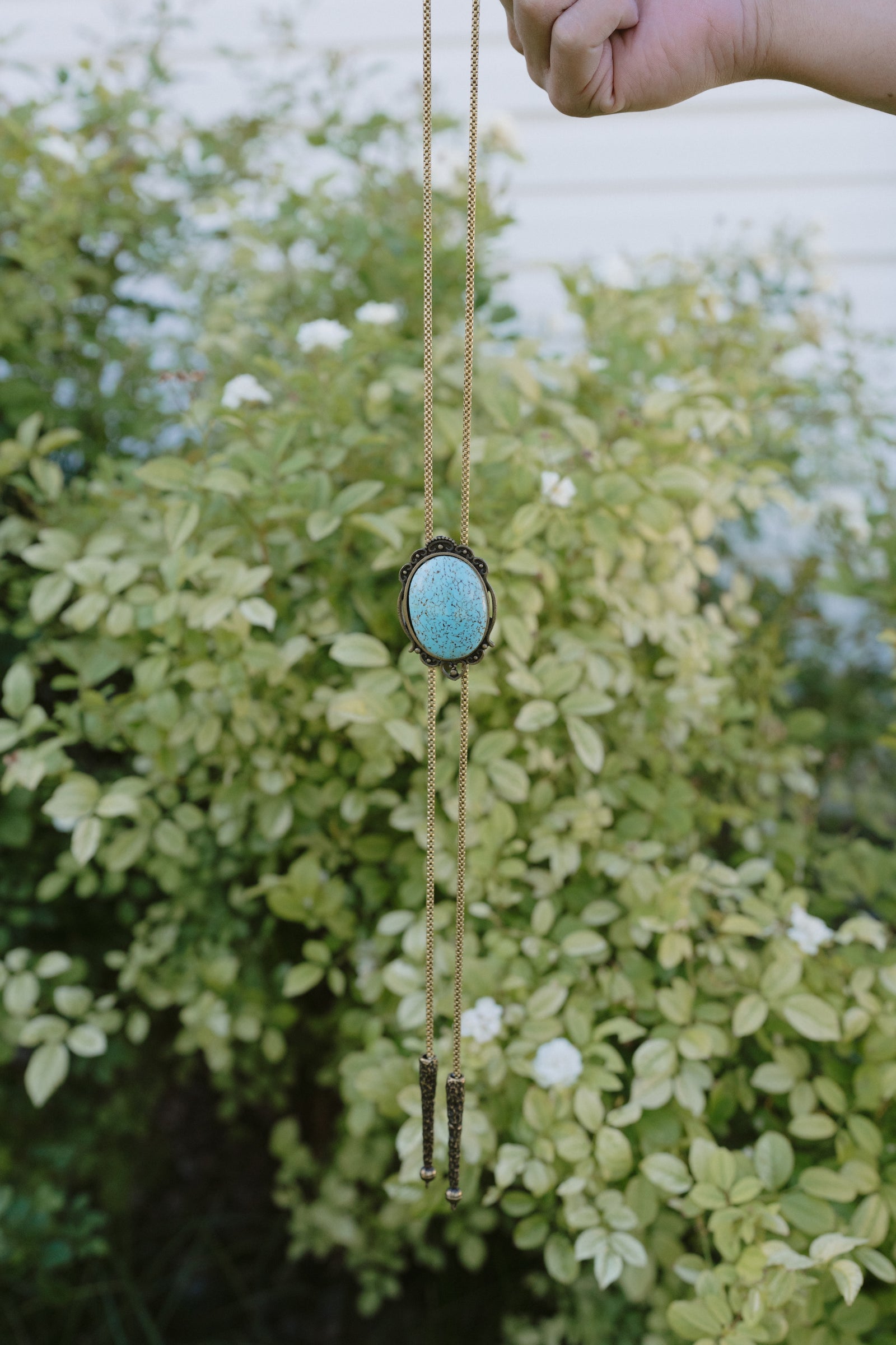 Albert Bolo Tie