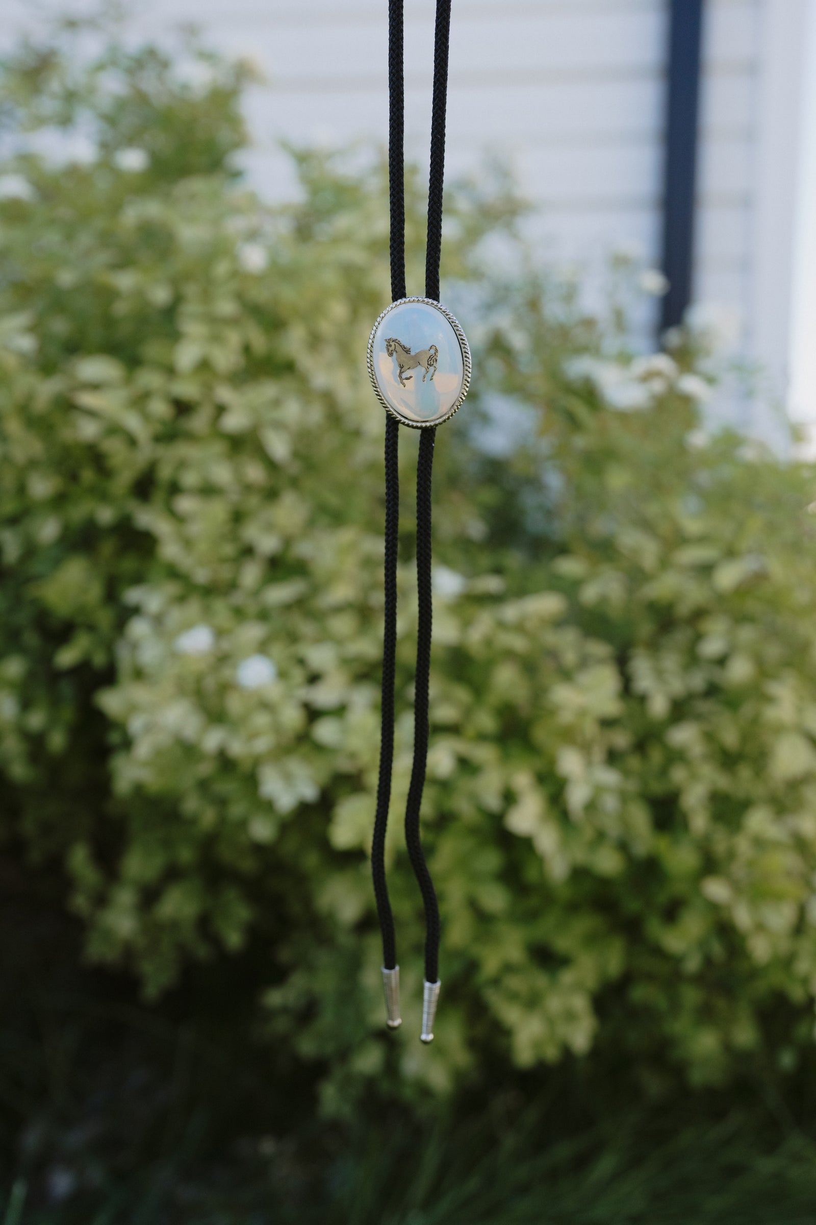 Montana Bolo Tie