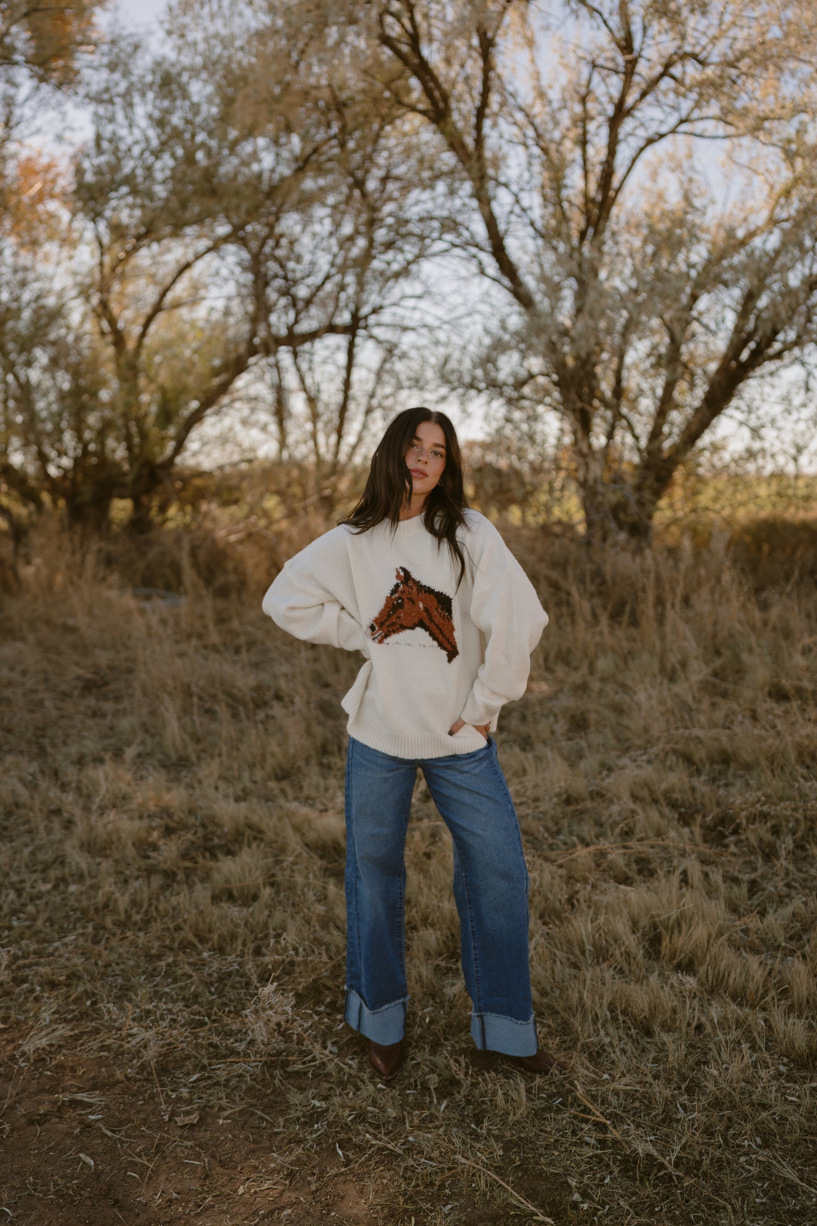 Hold Your Horses Sweater