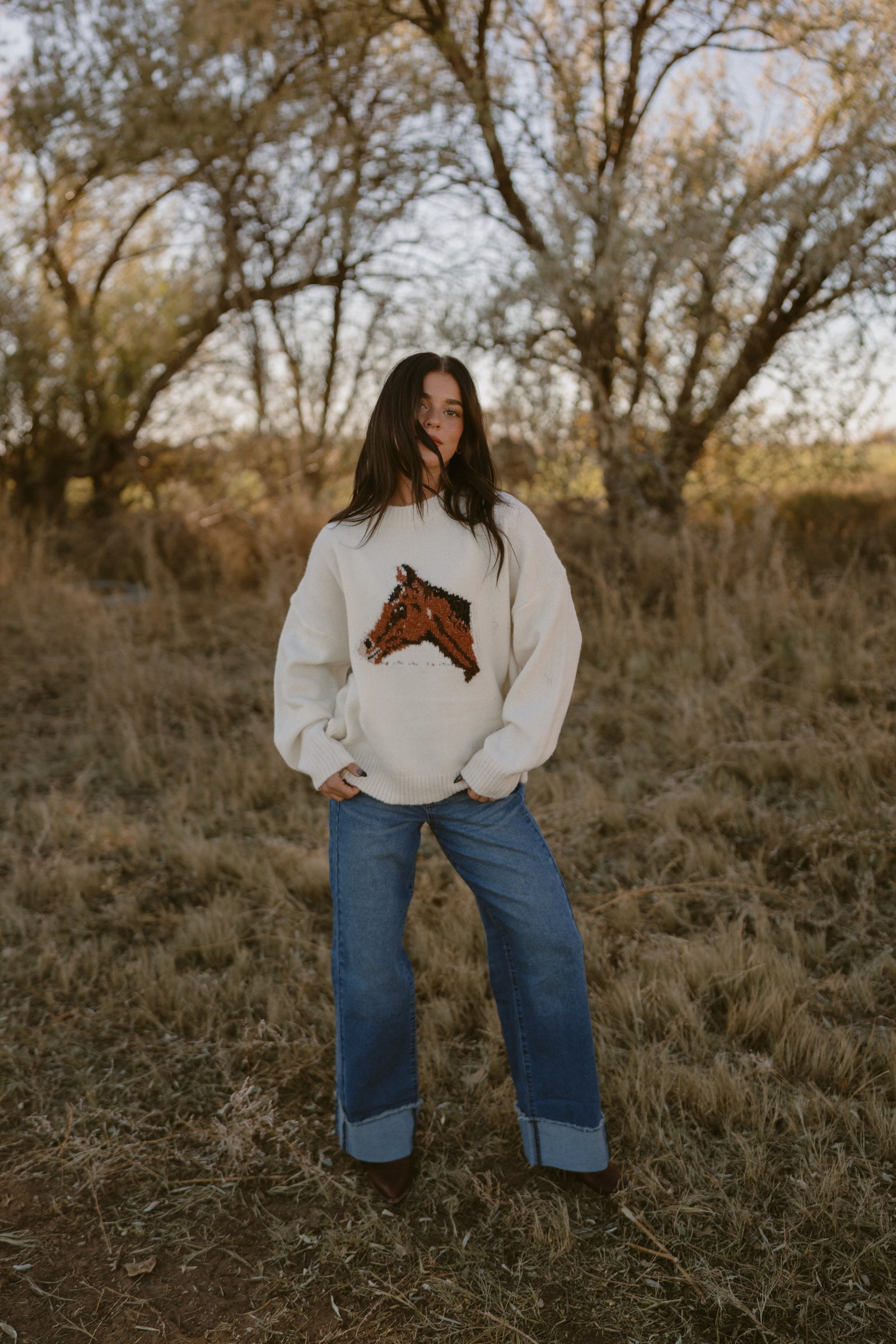 Hold Your Horses Sweater