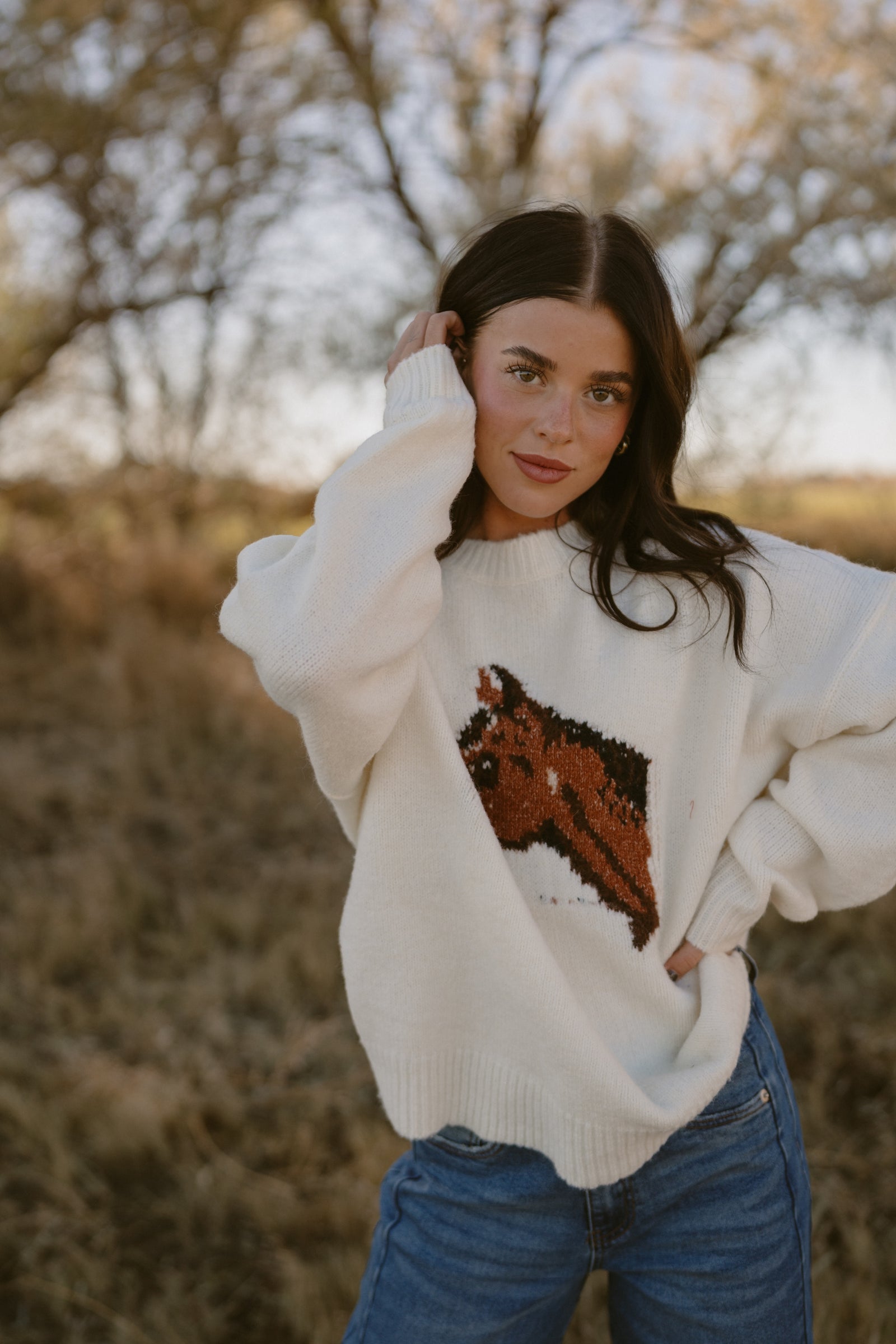 Hold Your Horses Sweater