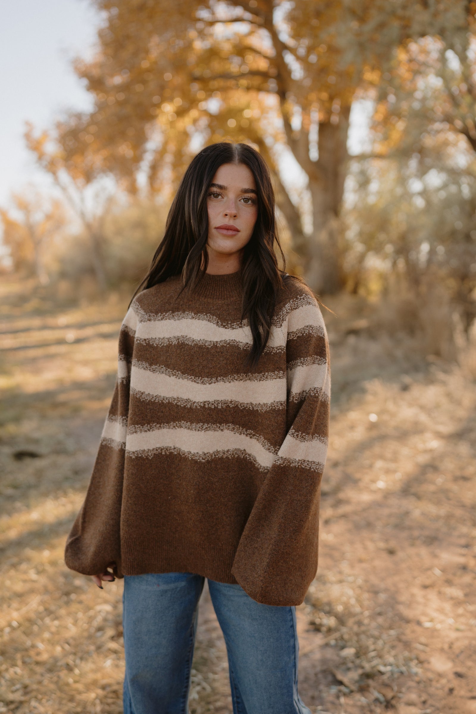 Brownie Sweater