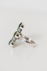 Outlaw Ring