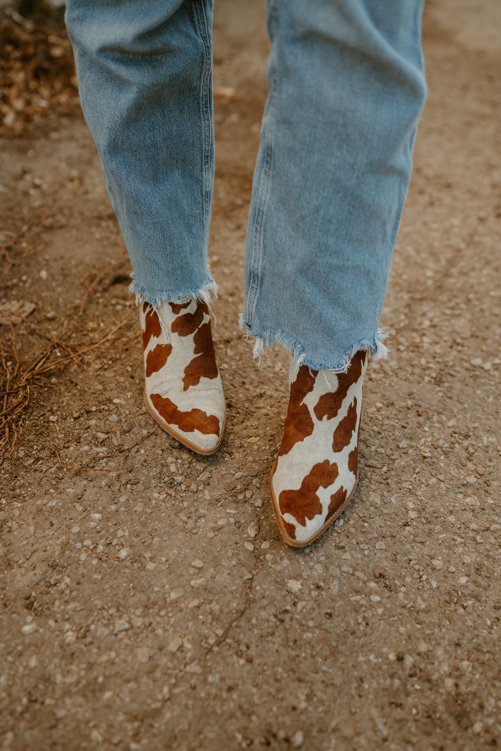 Caty Boot | Cow Print - FINAL SALE
