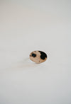 Kimber Ring | #7 | Scenic Agate - FINAL SALE